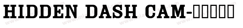 Hidden Dash Cam字体转换